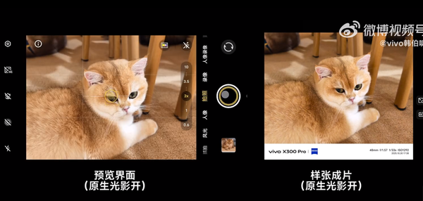 vivo产品经理详解X300原生光影:减少AI干预 还原真实 vivo产品经理详解X300原生光影:减少AI干预 还原真实