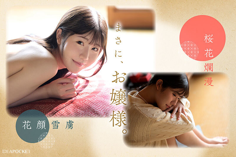 坂井美桜(坂井美樱)出道作品IPZZ-731发布!出身上流却很下流!IP社四大新人的第三位是H罩杯的疗癒女神!