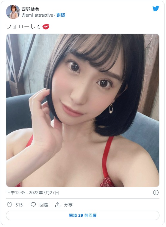 西野绘美(西野絵美)出道作品番号及封面,西野绘美个人简介