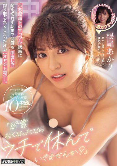 HMN-781,根尾あかり(根尾明里)最新作品2026/01/20发布!